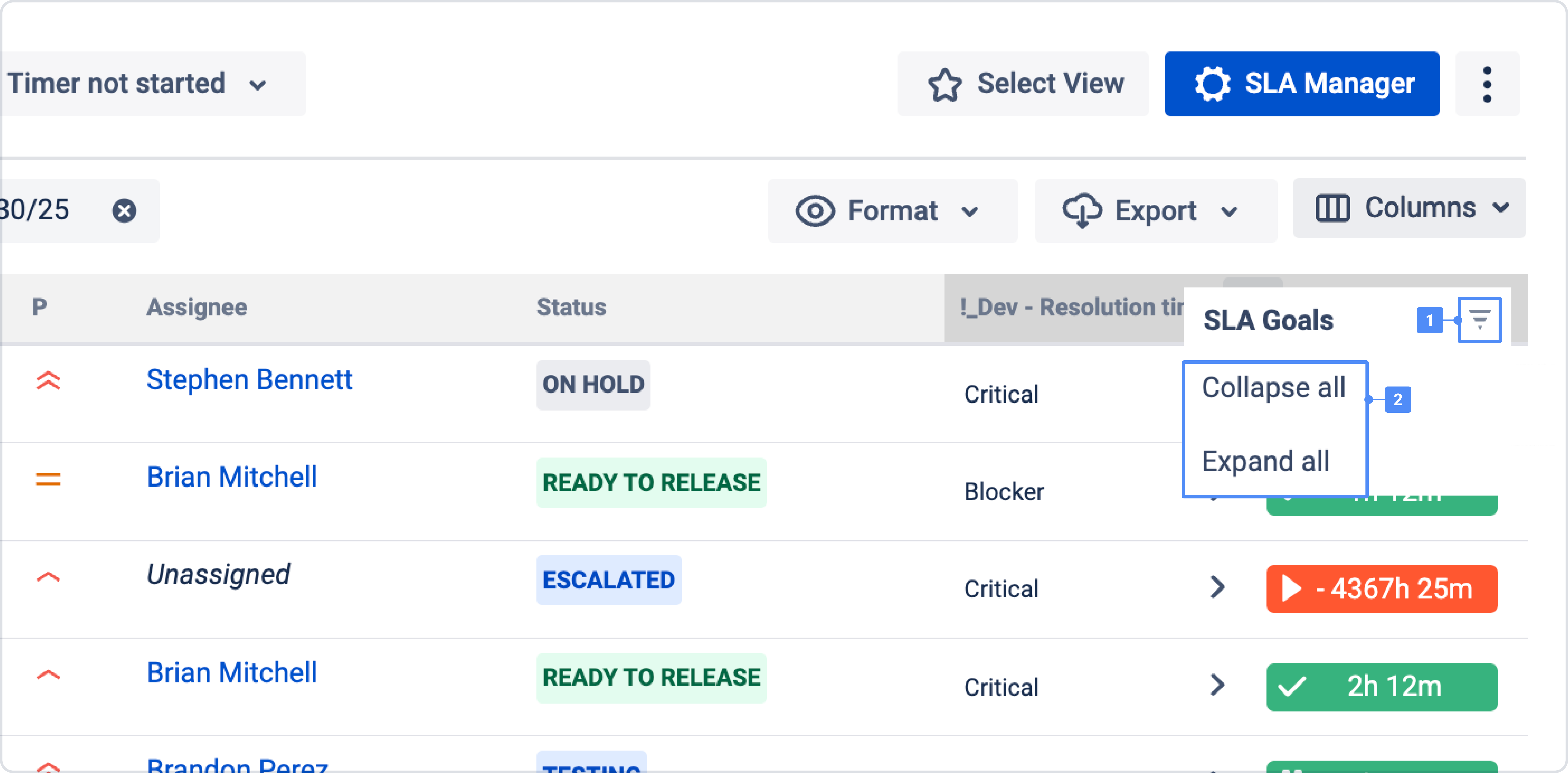 Report - expand lists.png